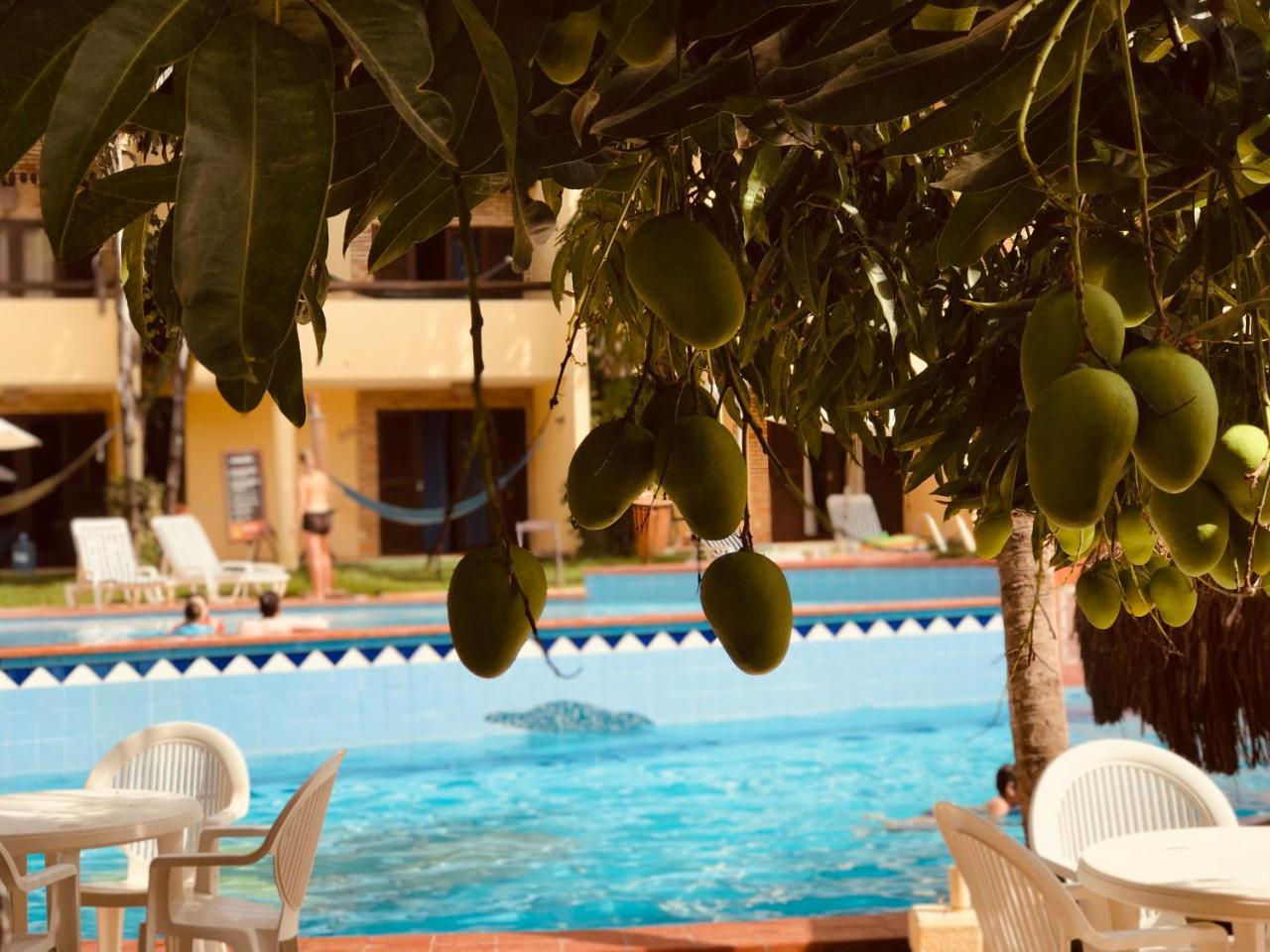 Praia de PipaPipa Flat Solar公寓 外观 照片